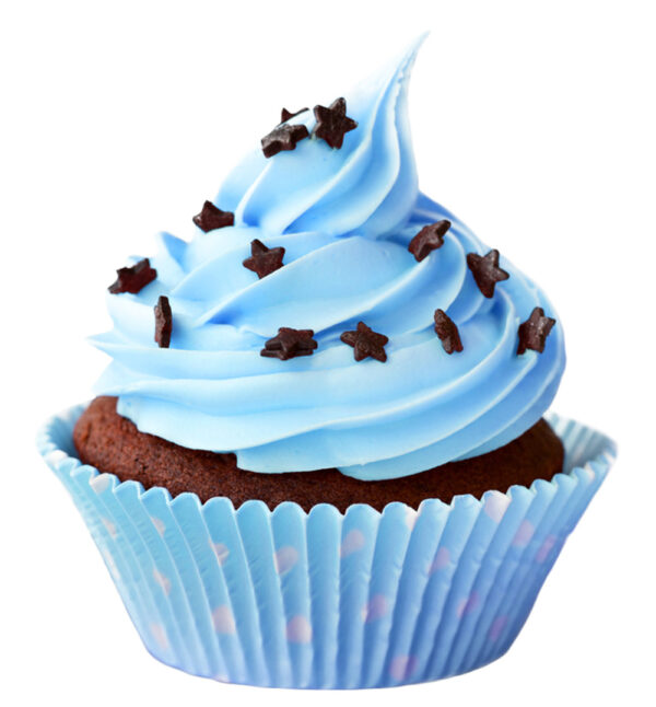 Creepy Crawly Cupcakes - Image 2